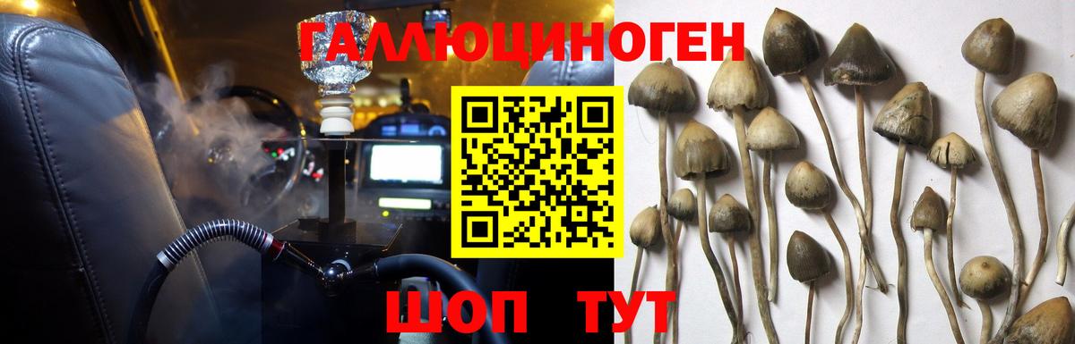 Псилоцибиновые грибы GOLDEN TEACHER Георгиевск